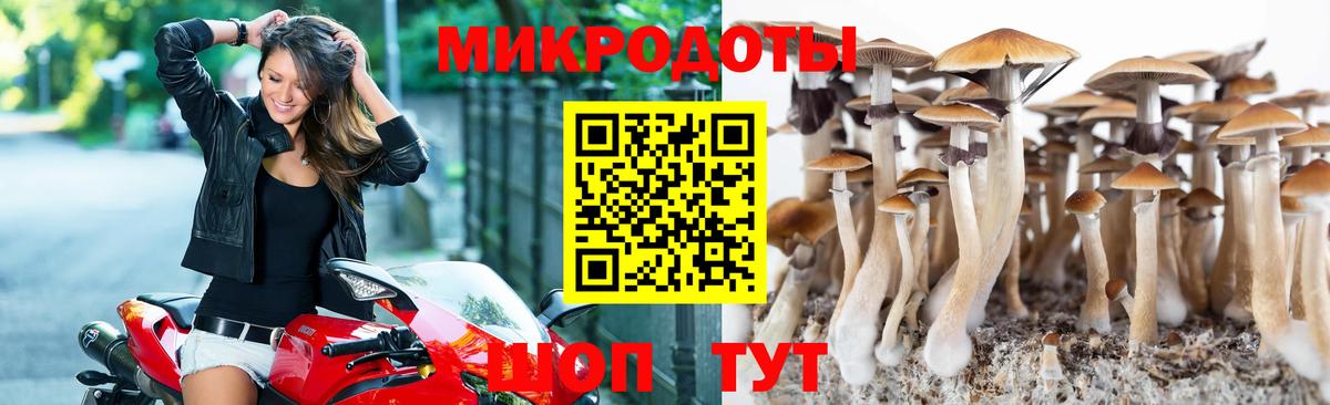 Псилоцибиновые грибы Psilocybine cubensis  Галлюциногенные грибы мухоморы  Вход с VPN  Нурлат 